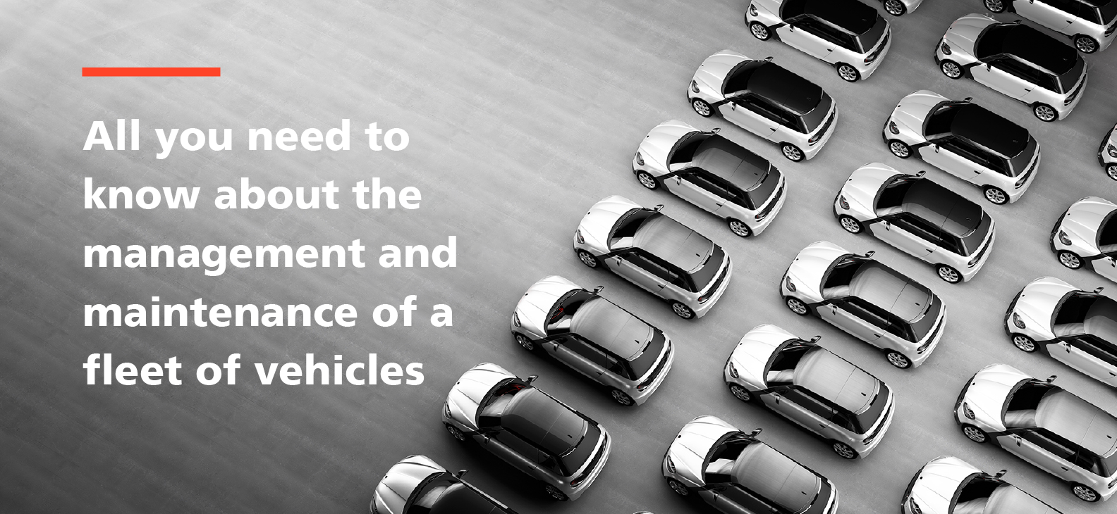 All you need to know about the management and maintenance of a fleet of vehicles